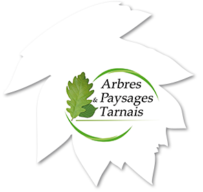 Association Arbres & Paysages Tarnais - Haie champêtre