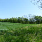 Haie champêtre pluristrate- Arbres & Paysages Tarnais