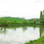 Haie-Arbres & Paysages Tarnais