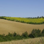 Haie-Arbres & Paysages Tarnais
