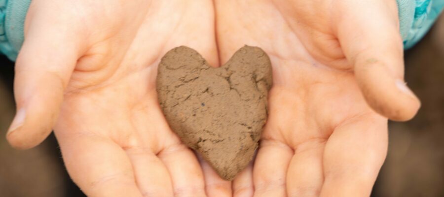 Fondation-Klorane©Laurent_Galaup-Arbres & Paysages Tarnais