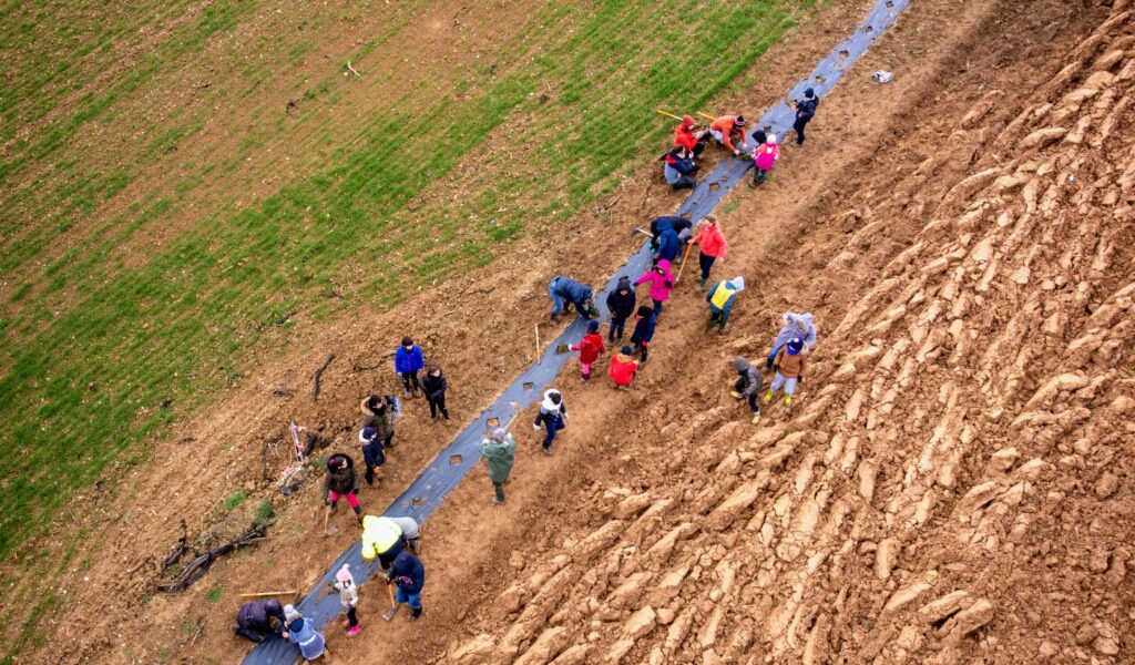 Klorane-Foundation-Botanical©Laurent_Galaup-Arbres & Paysages tarnais