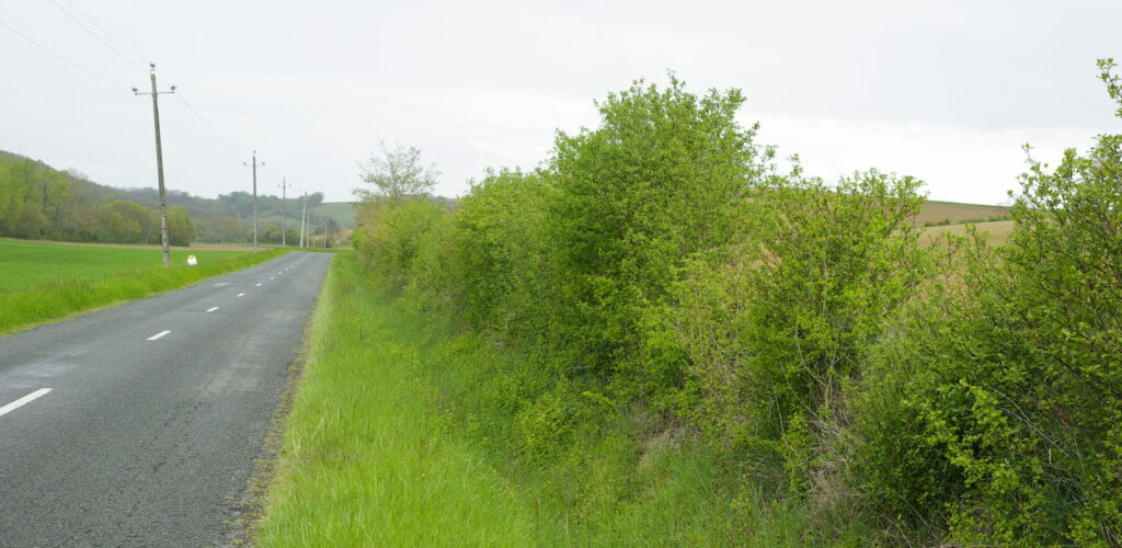 RNA- Arbres & Paysages Tarnais